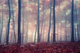 Dromerig herfstbos in zachte tinten