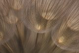 Dromerige Zachte Structuren
