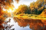 Gloed van herfstlicht bij de rivieroever