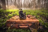 Herfstfluistering in het bos