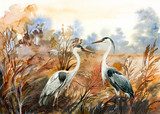Herfstse pracht met reigers in het wild