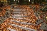 Herfsttrap in rustieke natuur