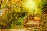 Herfsttrap in zonlicht
