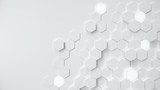 Hexagonale Illusies in Witte Ruggengraat