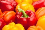 Kleurrijke paprika close-up explosie