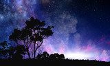 Kosmische nachtelijke hemel met bomen