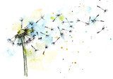 Minimalistische paardenbloem in lichte waterverf