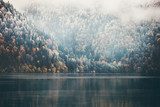 Mystiek Herfstbos en Mistige Bergen