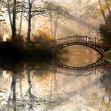Ochtendlicht over stille wateren