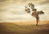 Rustiek landschapszicht in zachte sepia