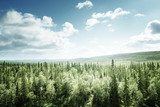 Uitgestrekt groen woudlandschap met blauwe hemel
