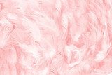 Zacht roze verenstructuur