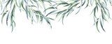 Zachte eucalyptus takken in aquarel