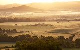 Zachte ochtendmist over glooiend landschap