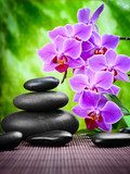 Zen balans met levendige orchideeën