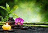Zen compositie met orchidee en bamboe