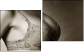 Diptych