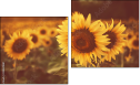 Diptych