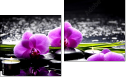 Diptych