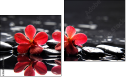 Diptych