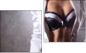 Diptych