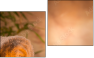 Diptych