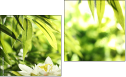 Diptych
