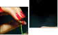 Diptych