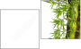 Diptych