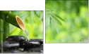 Diptych