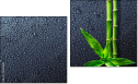 Diptych