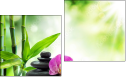 Diptych