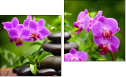 Diptych