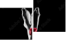 Diptych