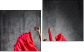 Diptych