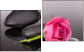 Diptych