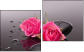 Diptych