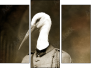 Triptiek