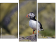Triptiek