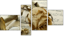 Fortych