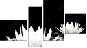 Fortych
