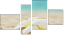 Fortych
