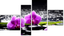 Fortych