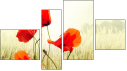 Fortych