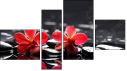 Fortych