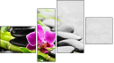 Fortych