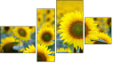 Fortych