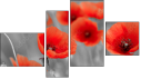 Fortych