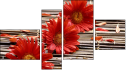 Fortych