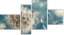 Fortych